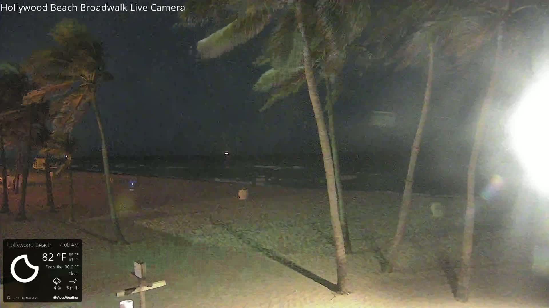 A nighttime beach scene shows palm trees swaying in a clear, breezy atmosphere under a dark sky.