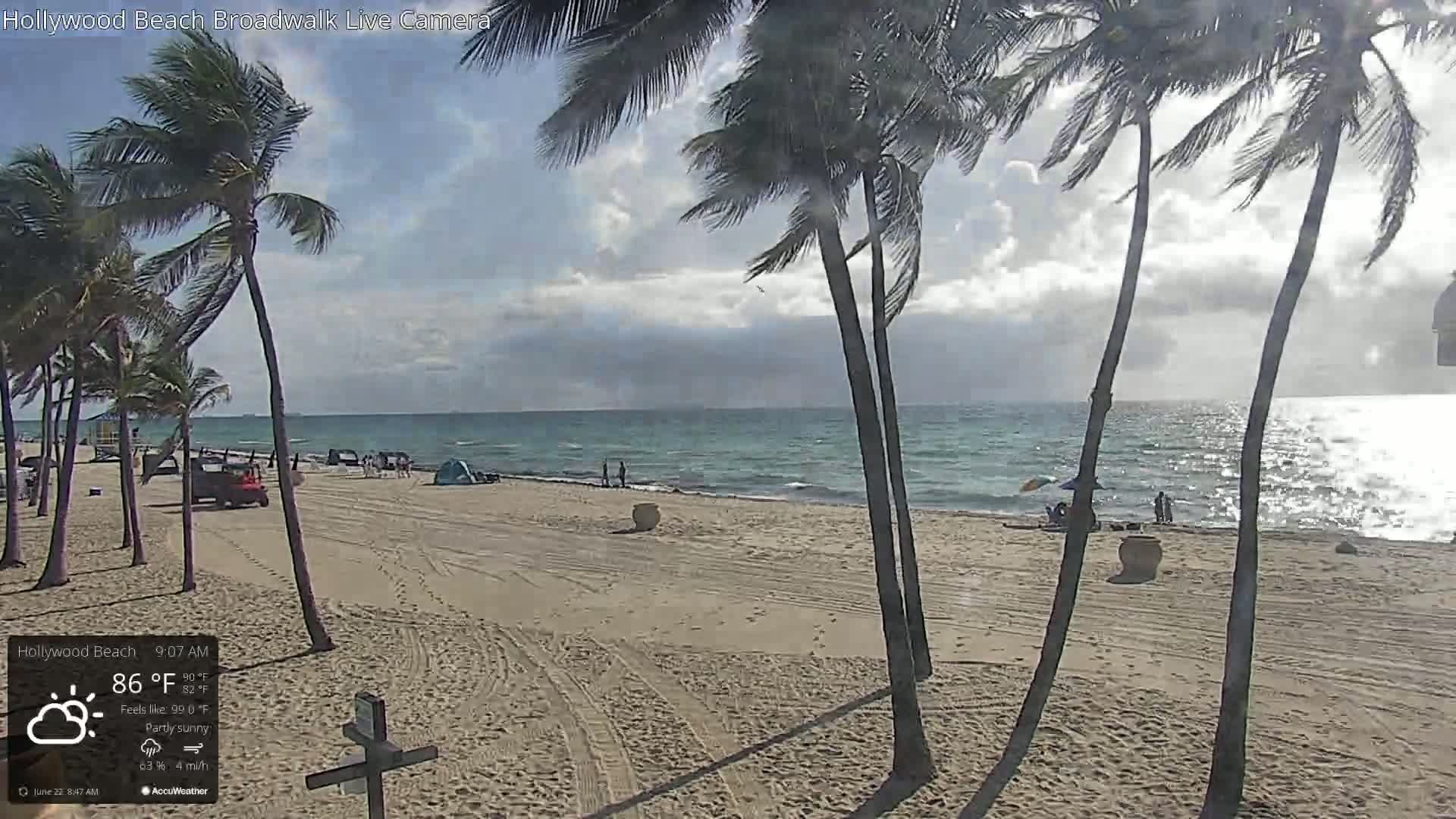 A partly sunny beach scene with palm trees swaying in the wind shows a sandy beach and ocean under a partly cloudy sky.