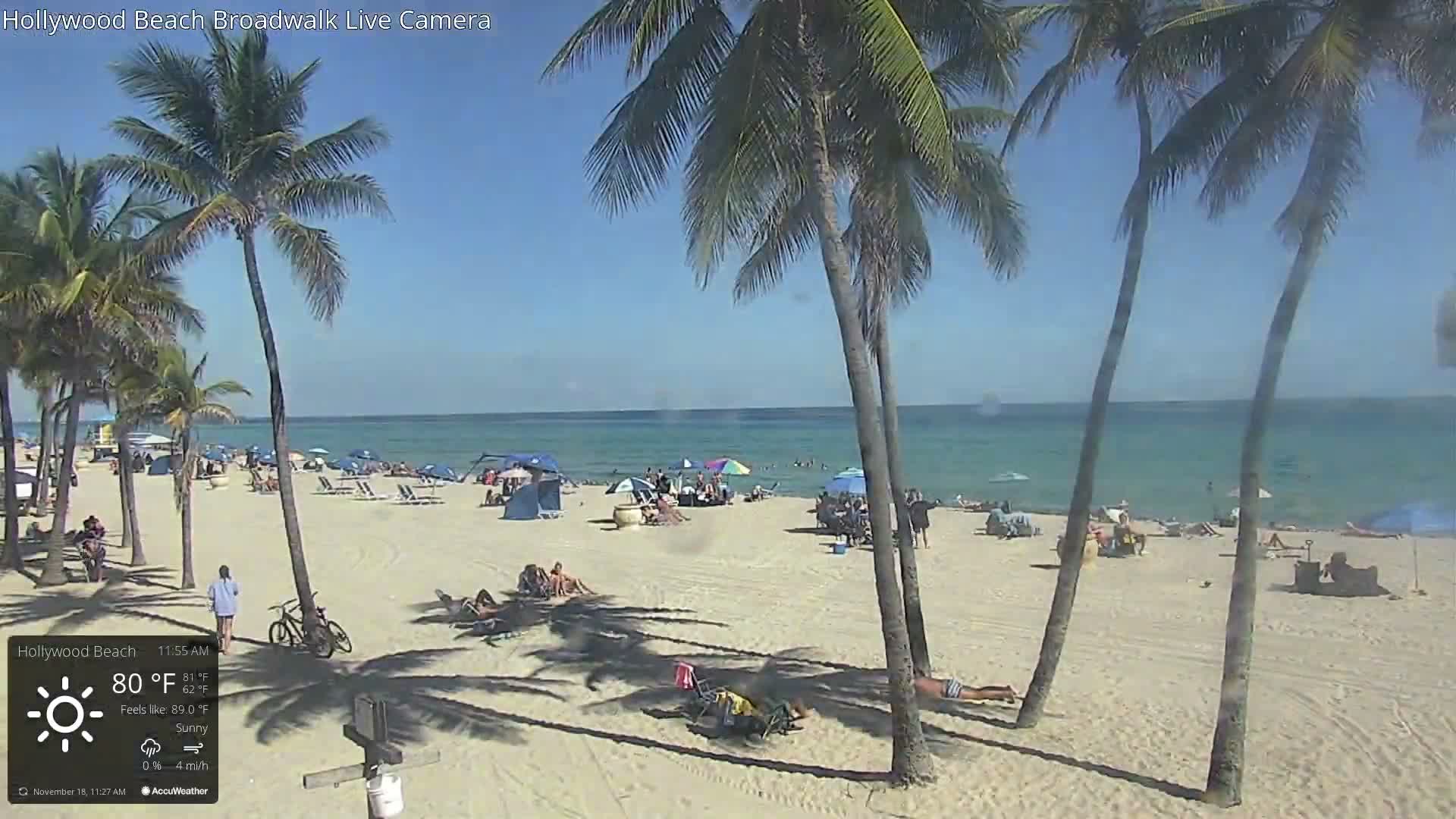 Palm trees bend in strong winds during a mostly cloudy night with rain.