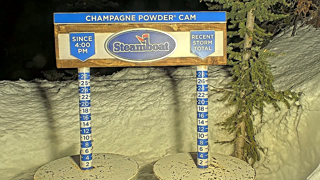 Two snow depth gauges stand in a snowy landscape at night, illuminated, next to a small evergreen tree.