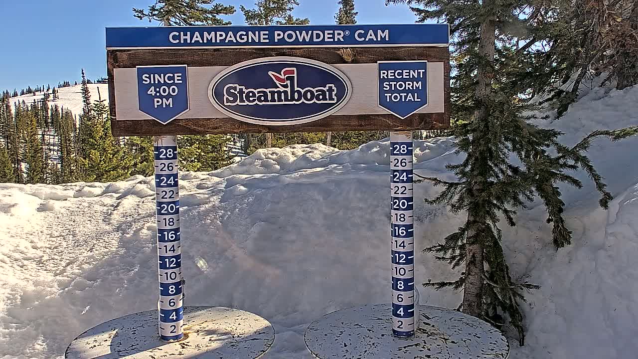 A snow depth gauge shows recent snowfall against a backdrop of snow-covered evergreens under a sunny sky.