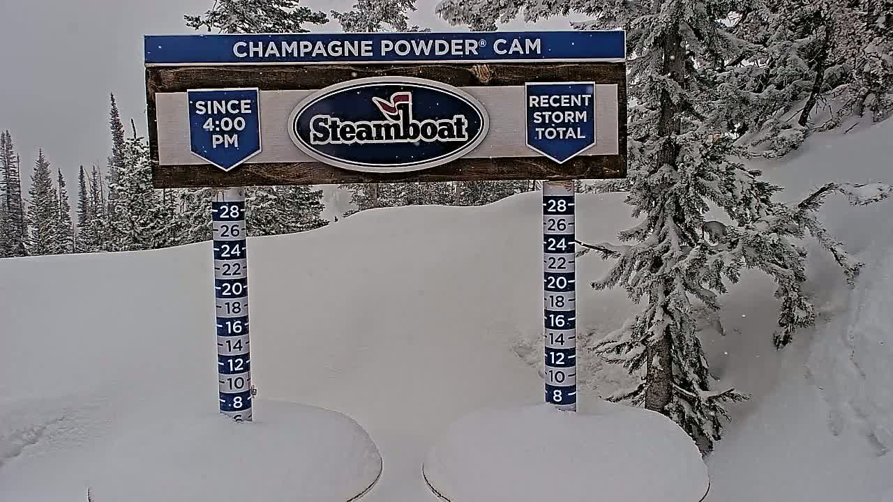 A snow-covered landscape with evergreen trees under a snowy sky shows a snow depth gauge next to a sign indicating recent snowfall.