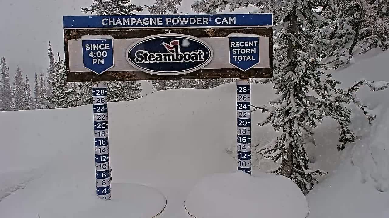 A snow-covered landscape with evergreen trees is shown during a snowfall, next to a snow depth measuring device and a sign indicating recent snowfall amounts.