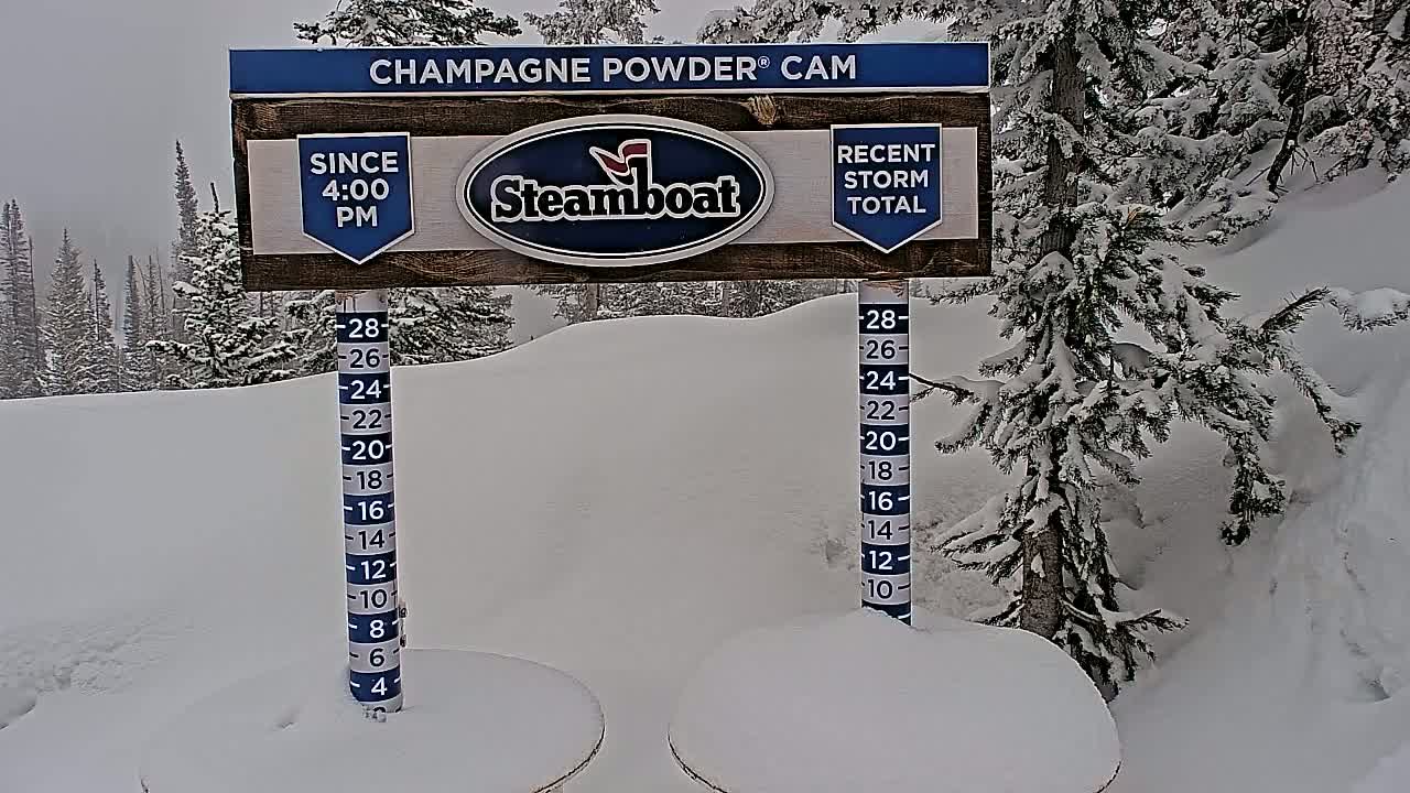 A snow-covered landscape with evergreen trees under an overcast sky features a snow depth gauge and a sign indicating recent snowfall.