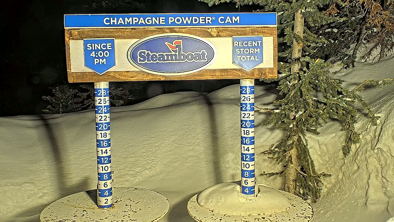 A nighttime snow-depth measuring station shows recent snowfall accumulation against a backdrop of snow-covered trees.