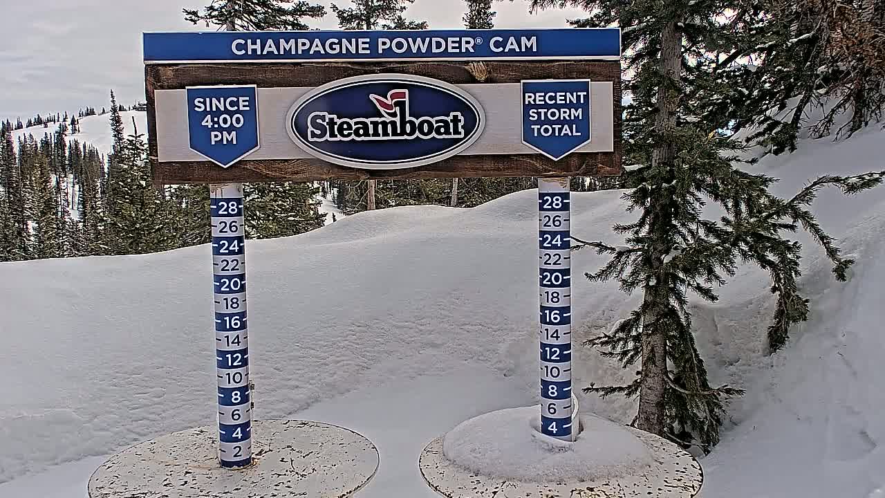 A snow depth gauge next to a sign indicating recent snowfall shows a significant amount of snow on the ground amidst evergreen trees under an overcast sky.