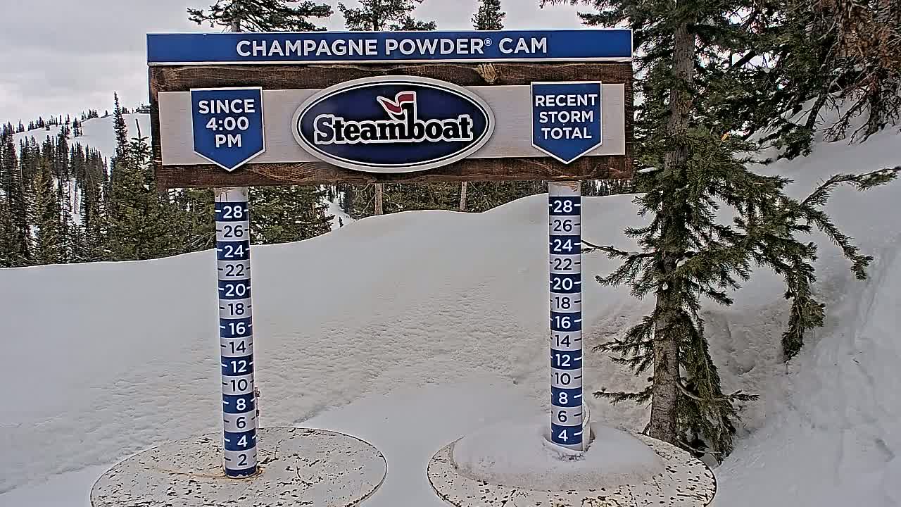 A snow-covered landscape with evergreen trees under an overcast sky features a snow depth gauge and a sign indicating recent snowfall.