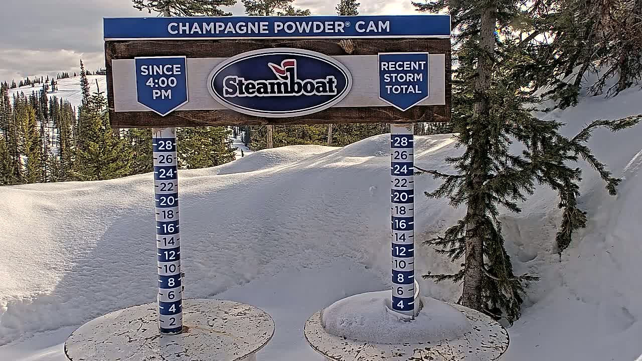 A snow depth gauge shows a recent snowfall in a snowy landscape with evergreen trees under a partly cloudy sky.