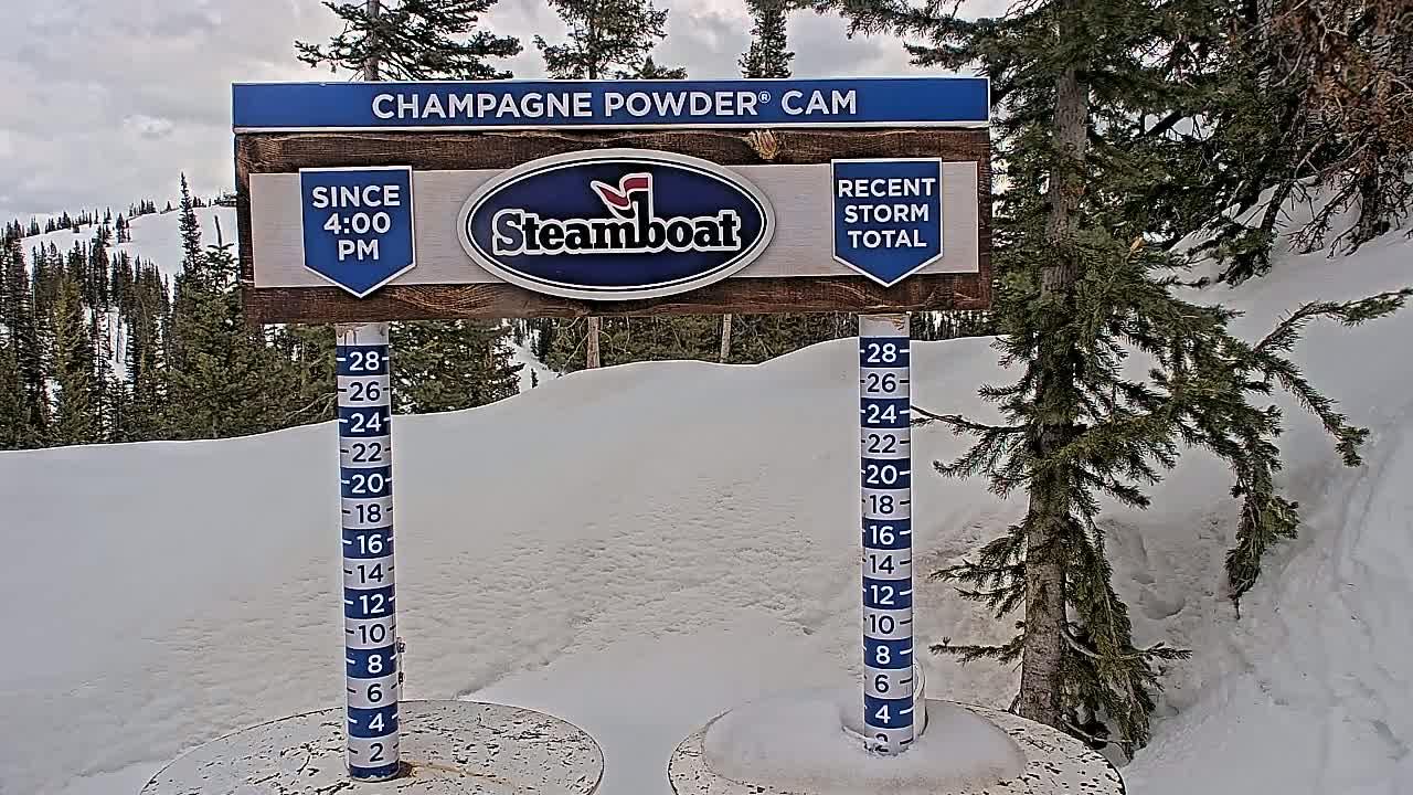 A snow depth gauge shows recent snowfall amidst a snowy landscape with evergreen trees under a cloudy sky.