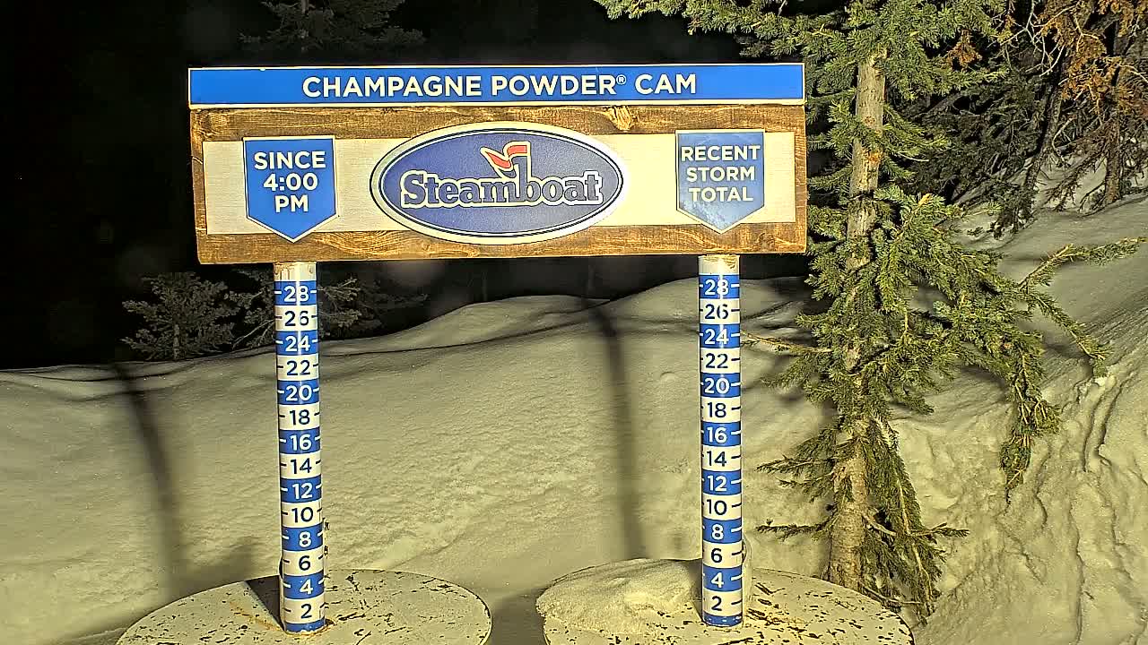 A nighttime snow depth gauge shows recent snowfall accumulation next to evergreen trees under dark night-sky conditions.