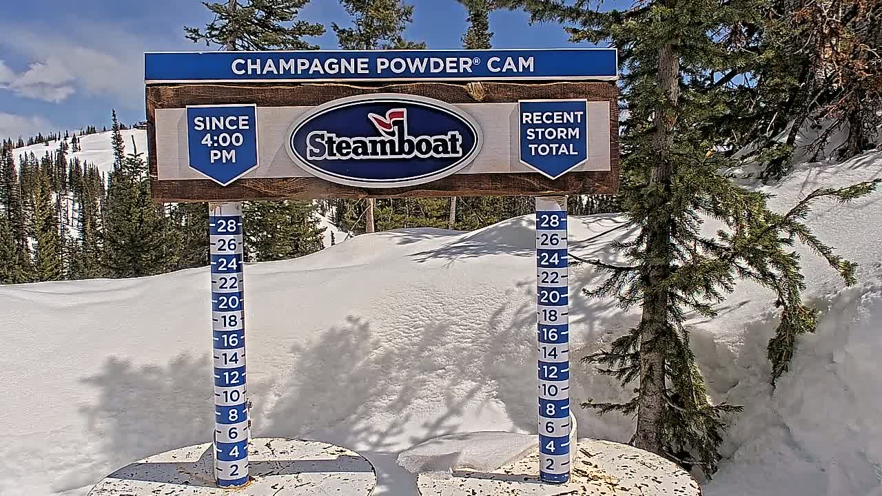 A snow depth gauge next to a evergreen tree shows the amount of recent snowfall on a sunny day in a snowy mountainous area.