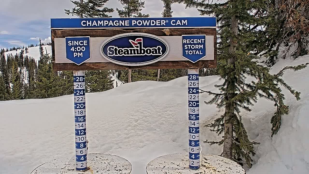 A snow depth gauge shows a significant amount of snow on a snowy hillside with evergreen trees under a partly cloudy sky.