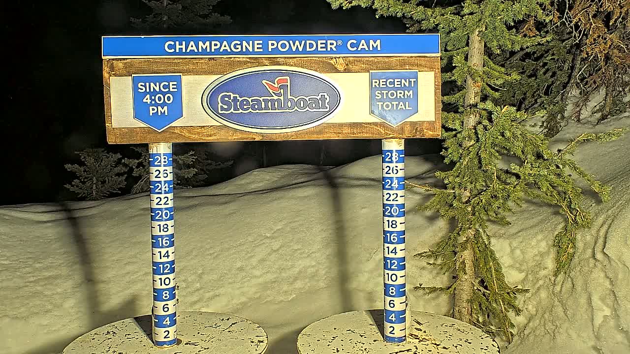 A nighttime snow depth gauge shows recent snowfall accumulation next to evergreen trees under a dark sky.
