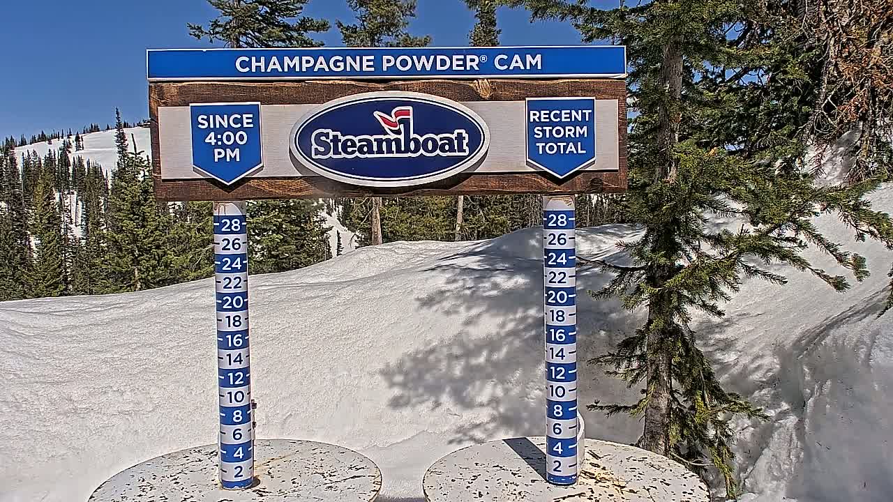 A snow depth gauge sits in a snowy landscape under a sunny sky, surrounded by evergreen trees.
