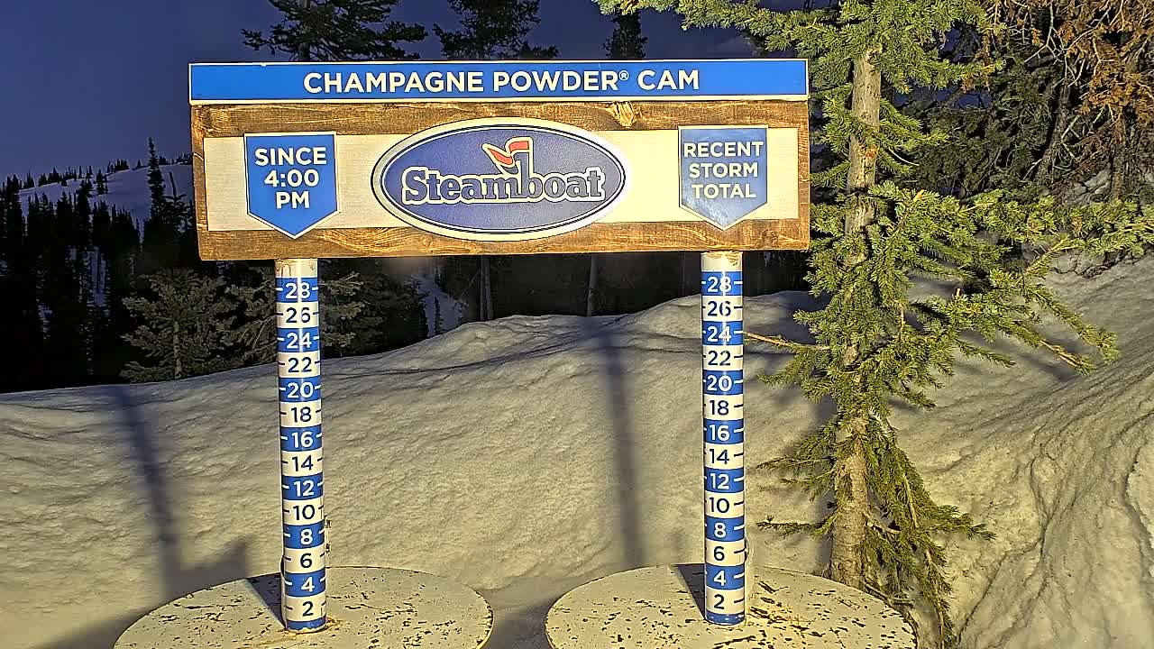A snow depth gauge and sign indicating recent snowfall under a night sky show a significant amount of snow accumulation on the ground next to an evergreen tree.