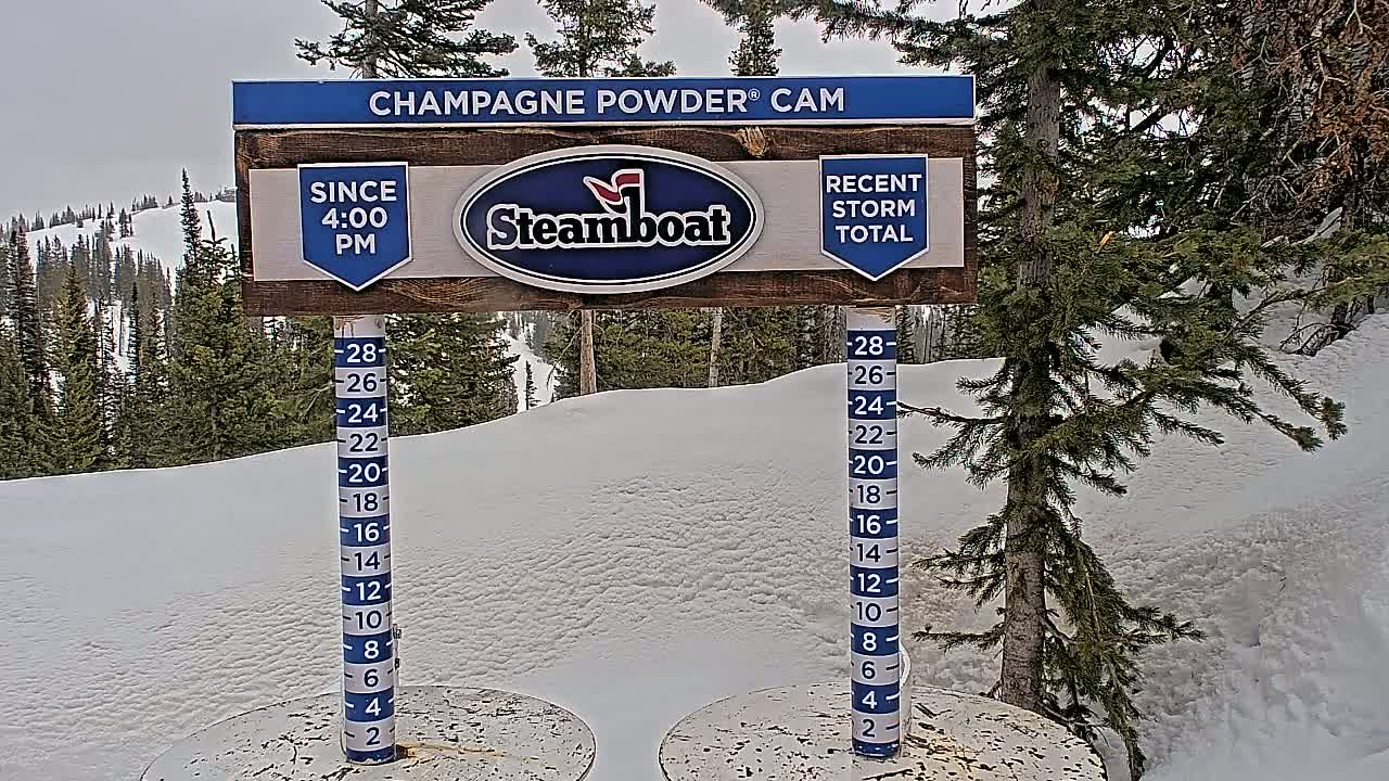 A snow depth gauge shows recent snowfall in a snowy landscape with evergreen trees under an overcast sky.