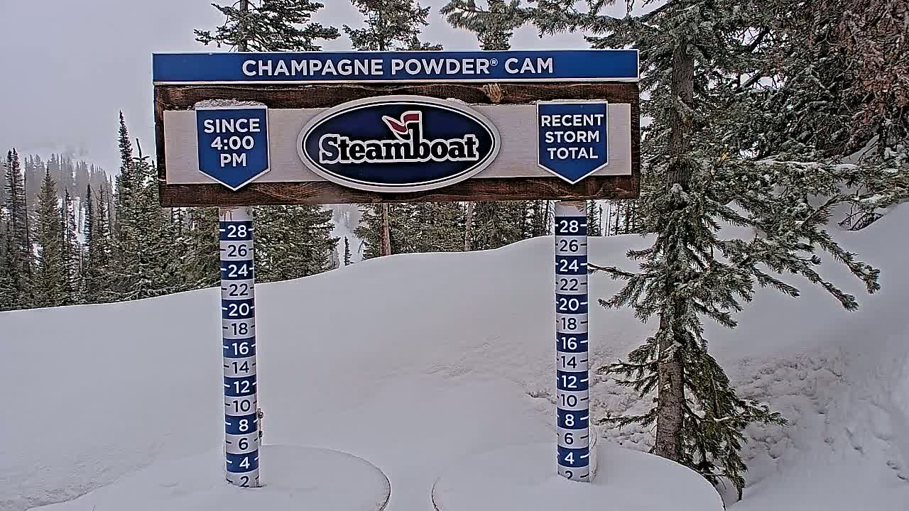 A snow-covered landscape with evergreen trees and a snow depth gauge shows recent snowfall in overcast conditions.