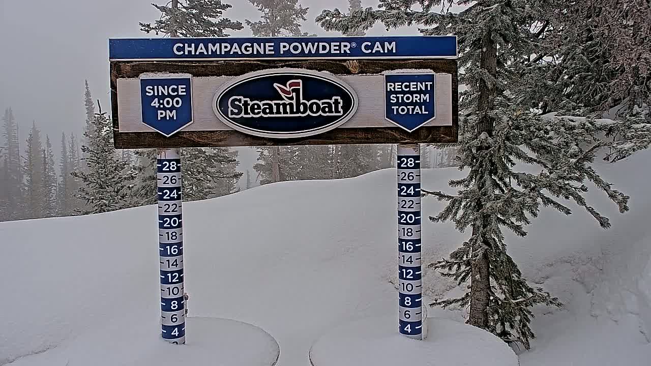 A snow-covered landscape with evergreen trees under an overcast sky features a snow depth gauge showing recent snowfall accumulation.
