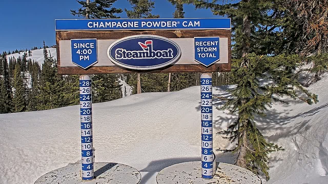 A snow depth measurement gauge stands in a snowy landscape under a sunny sky, surrounded by evergreen trees.