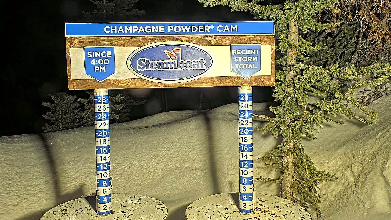 A nighttime snow depth gauge shows recent snowfall accumulation against a background of snow-covered evergreens.