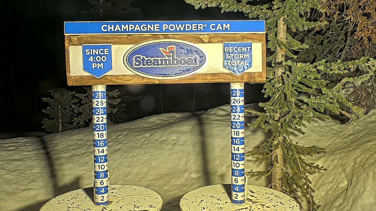 A nighttime snow-measuring station shows recent snowfall accumulation against a backdrop of snow-covered ground and evergreen trees.