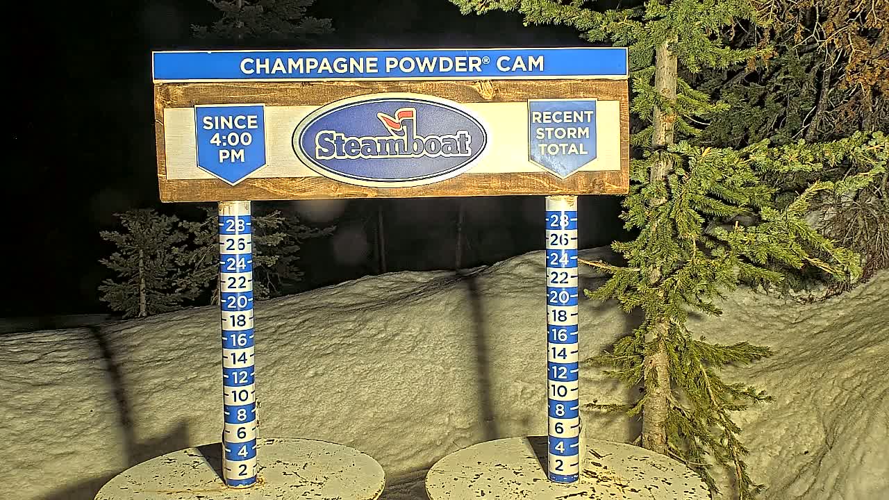 A nighttime snow depth gauge shows recent snowfall accumulation in a snow-covered area with evergreen trees.