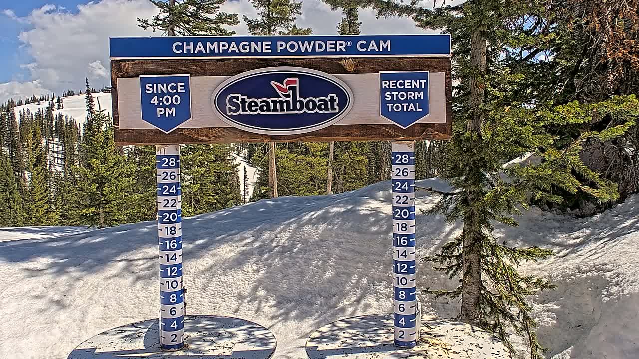 A snow depth gauge sits in a snowy landscape under a partly cloudy sky, with evergreen trees in the background.