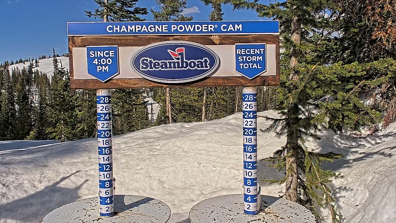 A snow depth gauge sits in a sunny, snow-covered area with evergreen trees in the background.