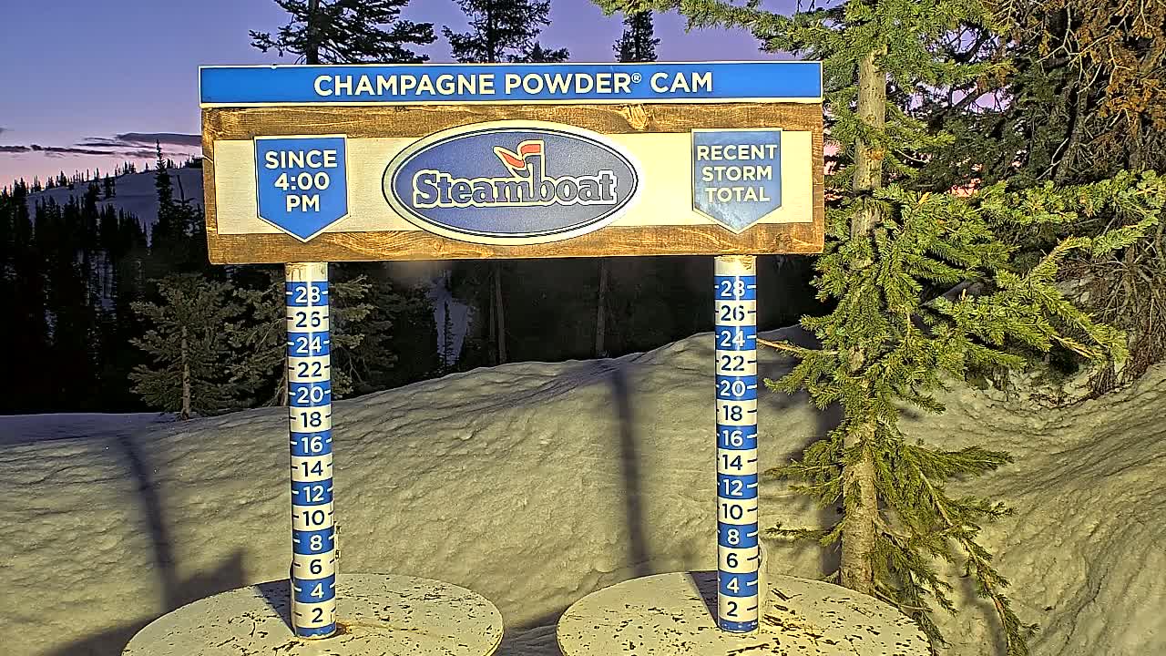 A snow depth gauge sits in a snowy landscape at dusk, surrounded by evergreen trees.