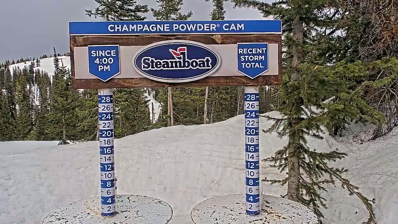 A snow-covered landscape with evergreen trees is shown, featuring a snow depth measurement gauge and a sign indicating recent snowfall.