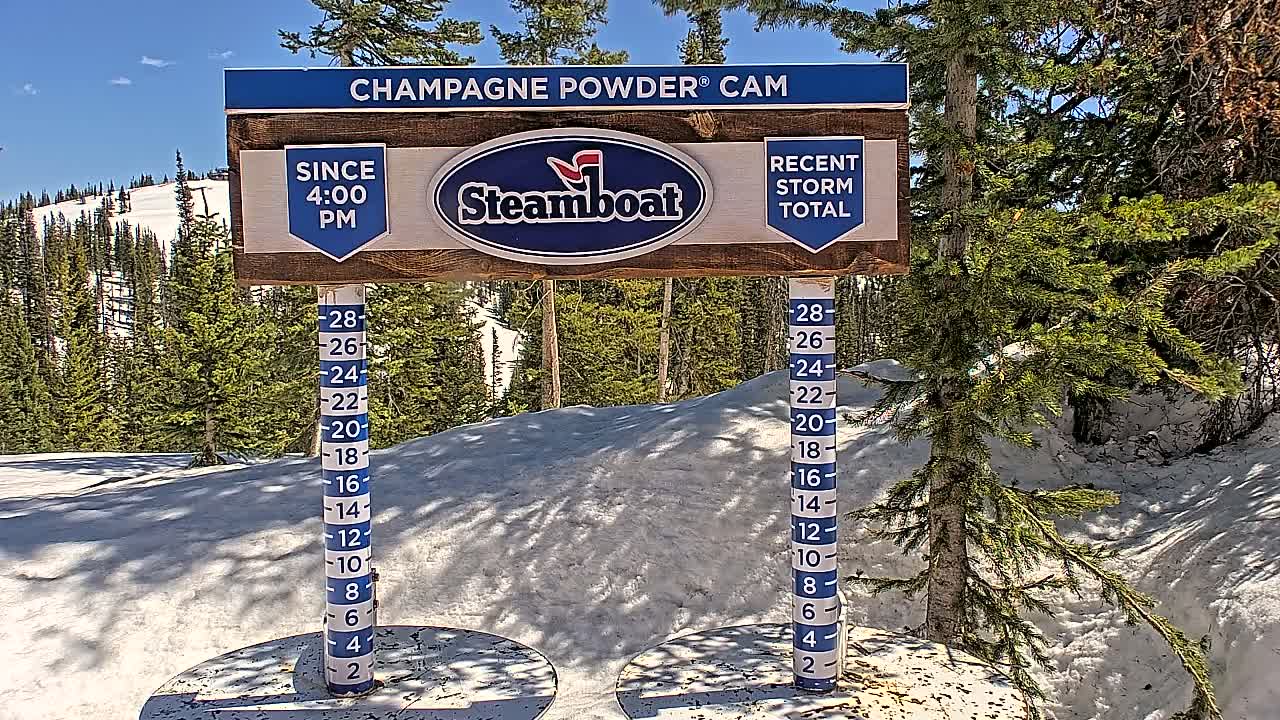A snow depth gauge sits in a sunny snowy area surrounded by evergreen trees.