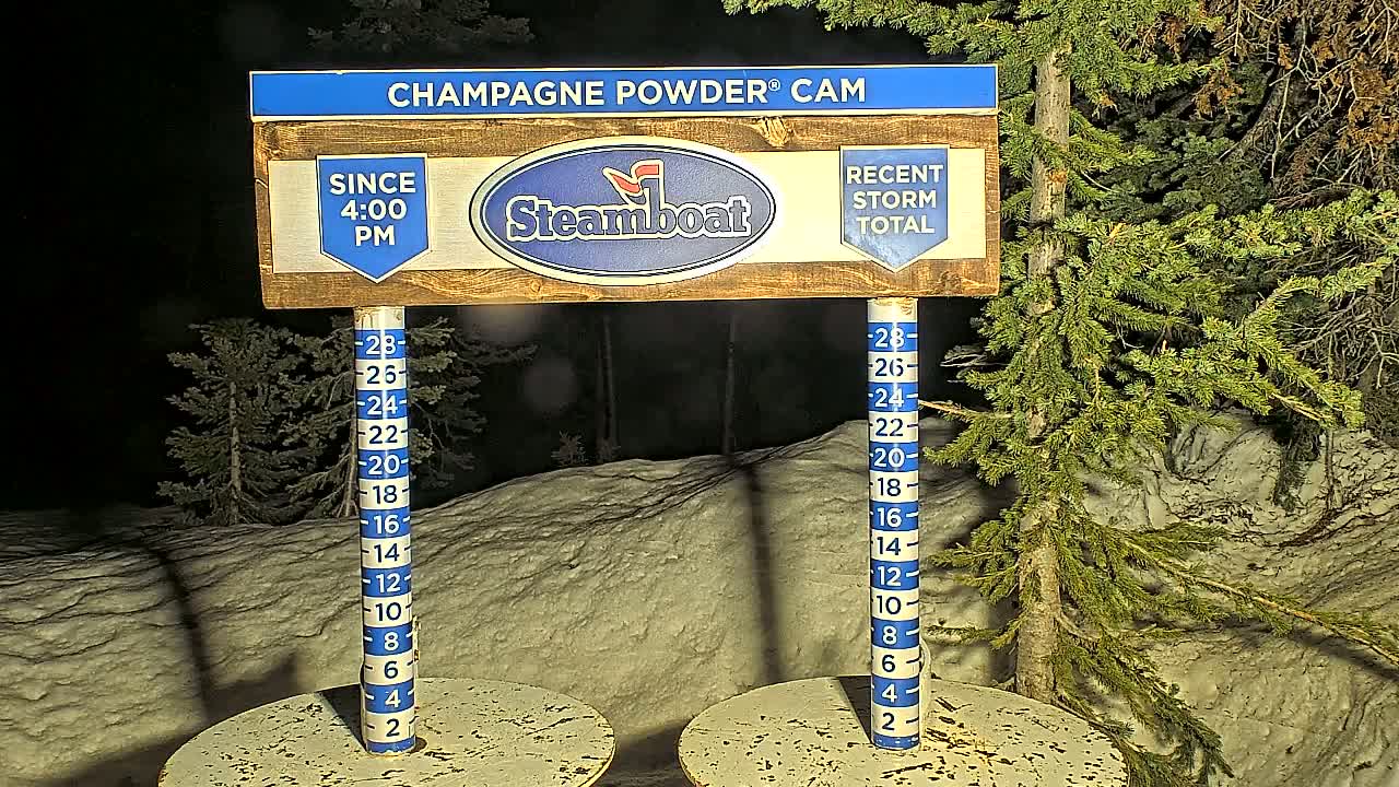 A nighttime snow-covered scene shows a wooden sign with a snow depth gauge, indicating recent snowfall, situated in front of evergreen trees.
