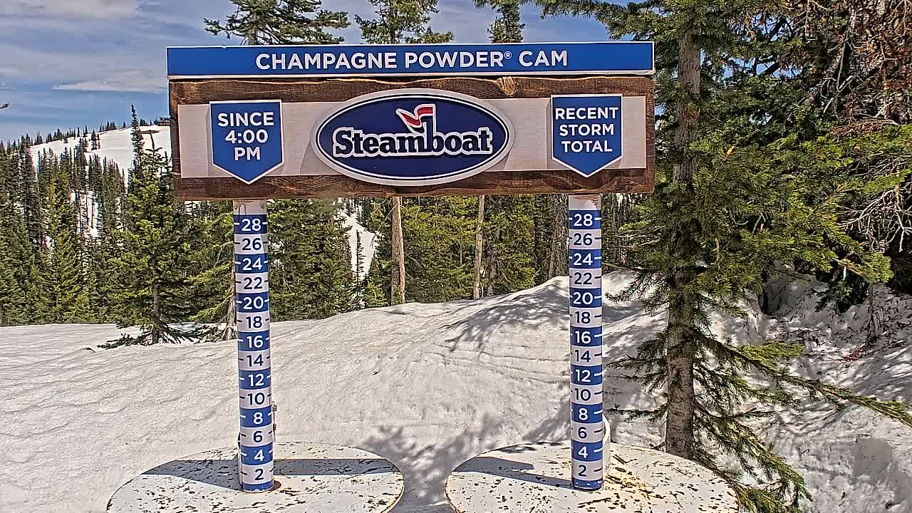 A snow-covered landscape with evergreen trees under a partly cloudy sky is shown next to a snow depth gauge and a sign indicating recent snowfall.