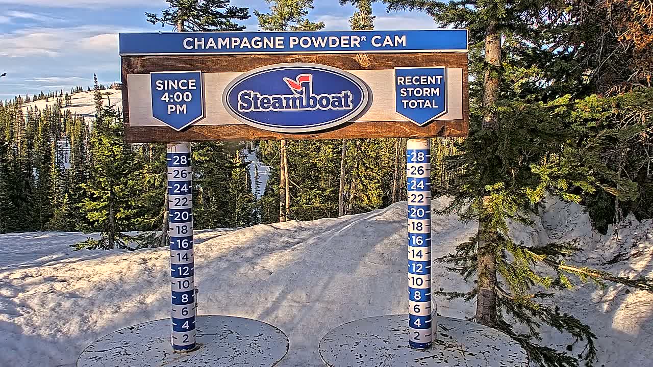 A snow depth gauge and sign showing recent snowfall are situated on a snowy hillside amongst evergreen trees under a partly sunny sky.