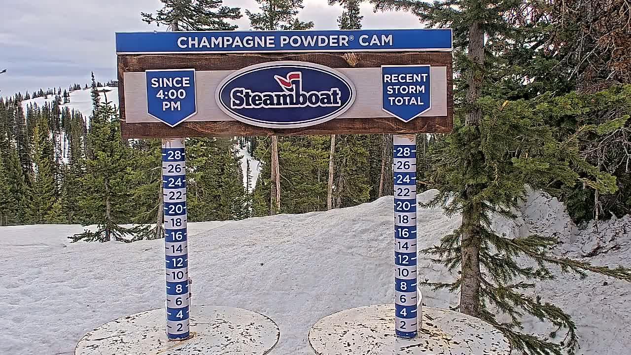 A snow-covered landscape with evergreen trees under a cloudy sky is shown, with two snow depth measurement posts indicating recent snowfall.