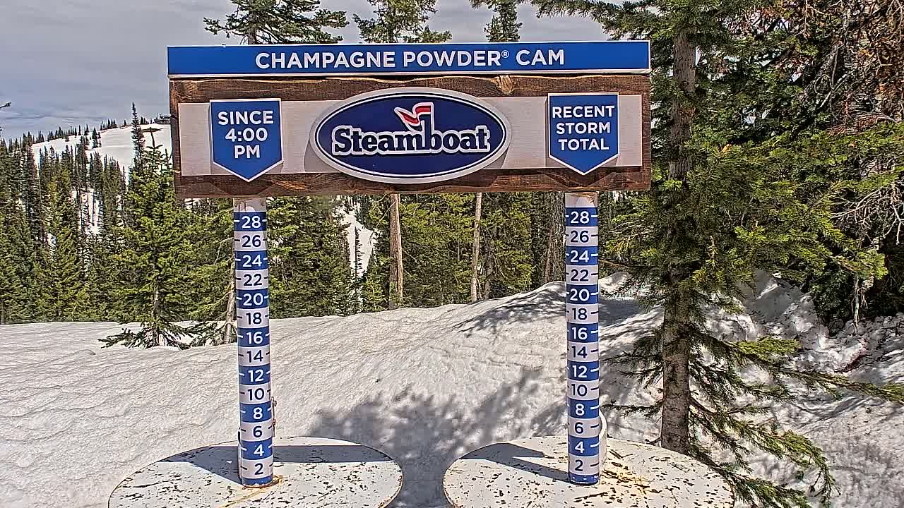 A snow depth gauge stands in a snowy landscape of evergreen trees under a partly cloudy sky.