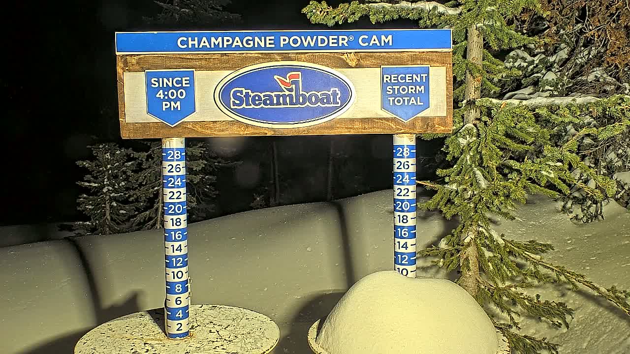 A nighttime snow scene shows a snow depth gauge next to a snow-covered evergreen tree.