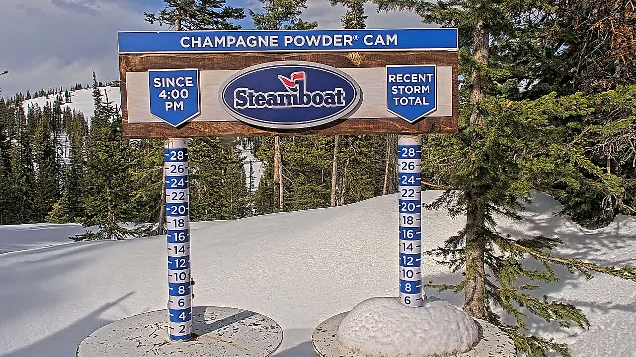 A snow depth measurement sign is displayed in a snowy area with evergreen trees under partly cloudy skies.