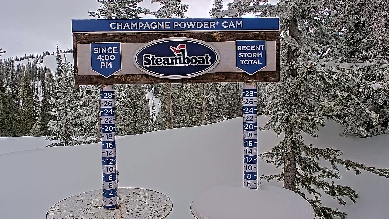 A snow-covered landscape with evergreen trees under an overcast sky is shown, featuring a snow depth gauge and a sign indicating recent snowfall.