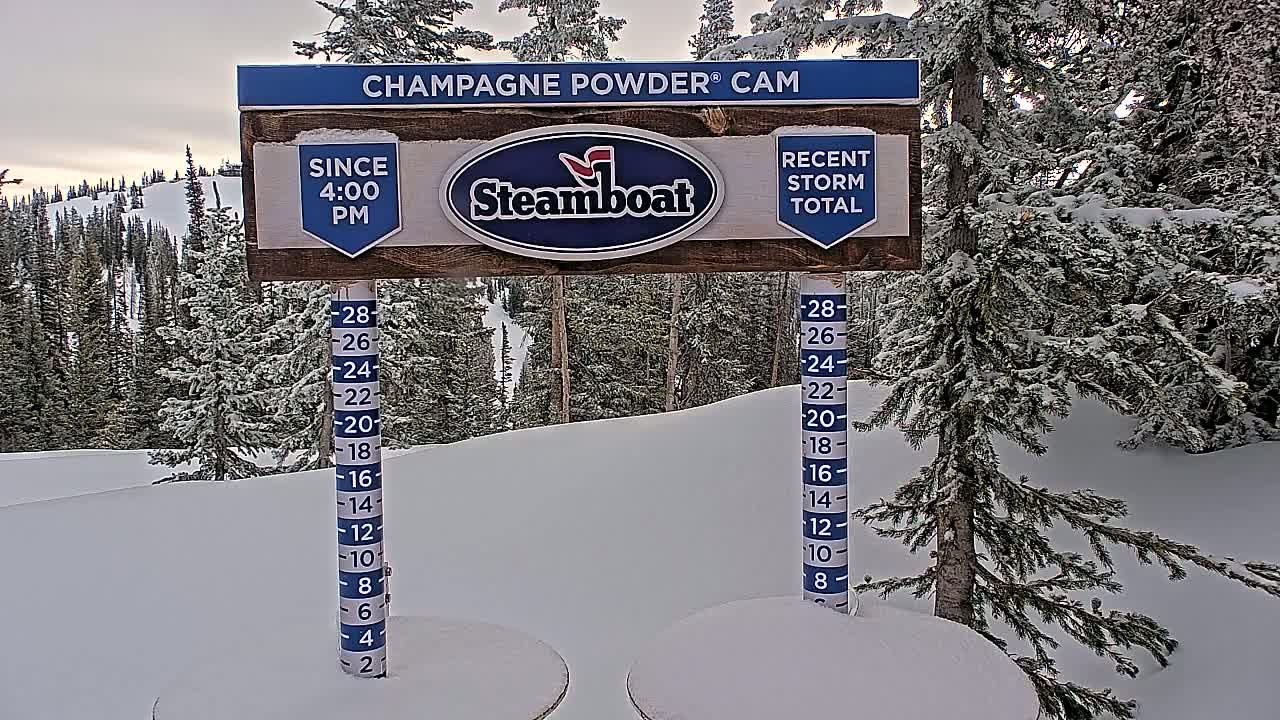 A snow-covered mountain landscape with evergreen trees under a cloudy sky, featuring a snow depth gauge and a sign indicating recent snowfall.