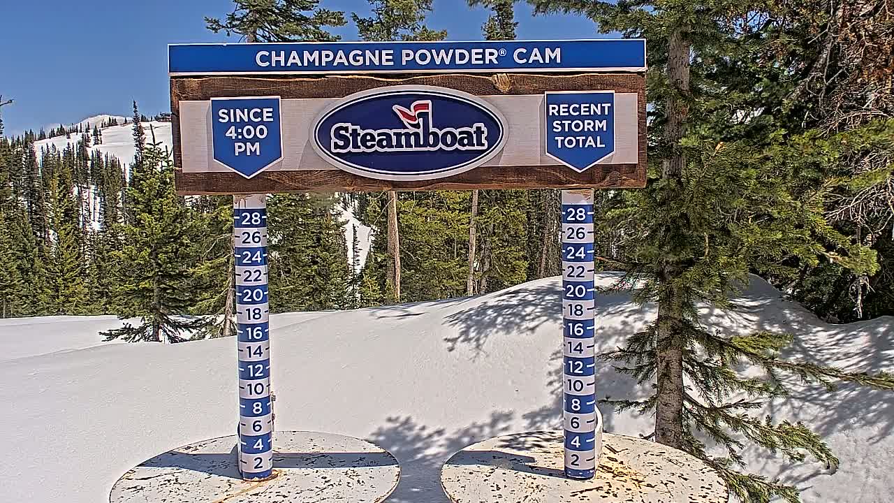 A snow-covered landscape with evergreen trees under a clear blue sky, featuring two snow-depth measurement gauges near a sign indicating recent snowfall.