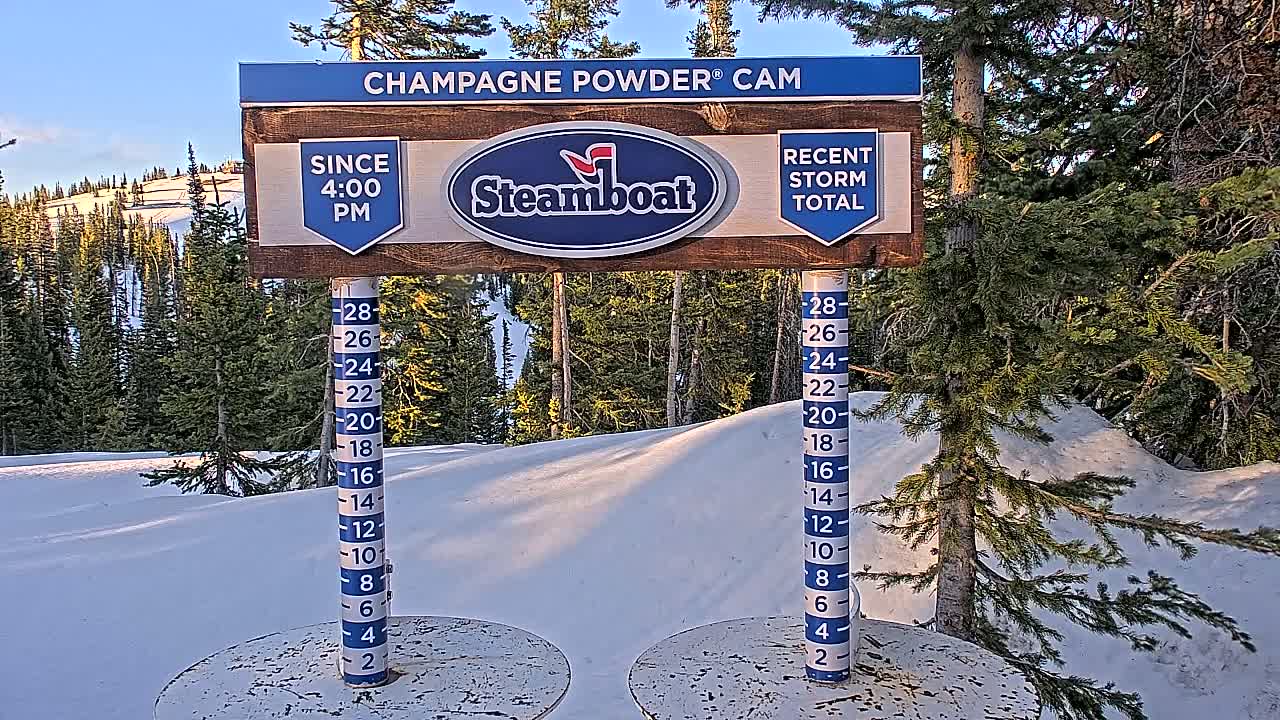 A snow depth gauge shows recent snowfall in a snowy landscape with evergreen trees under a clear sky.