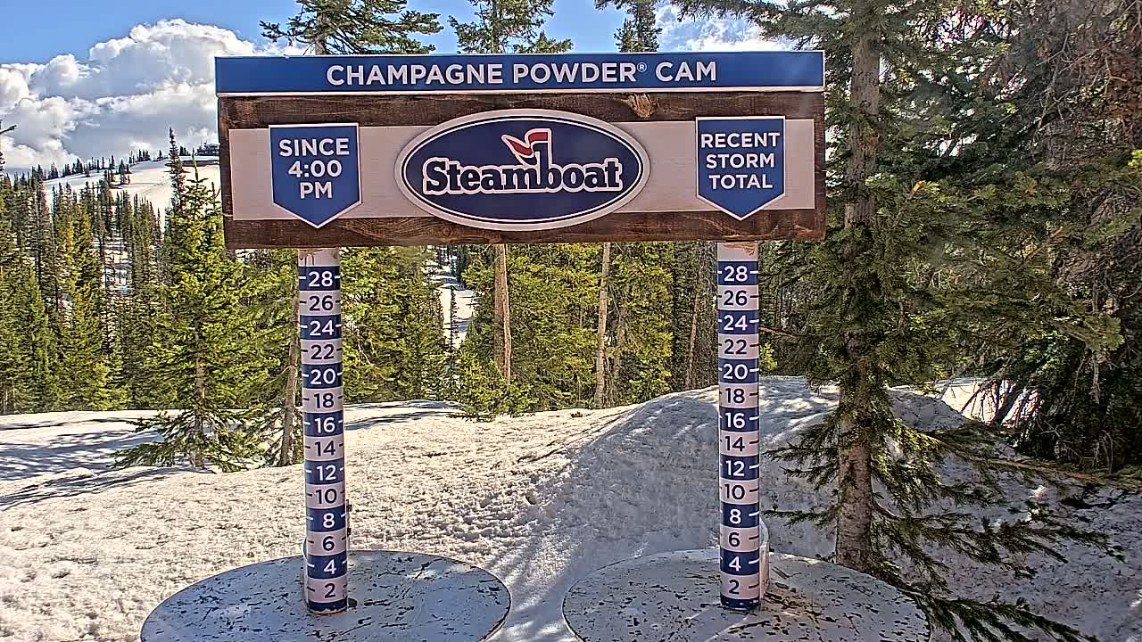 A snow depth gauge sits in a snowy area with evergreen trees in the background under a partly cloudy sky.