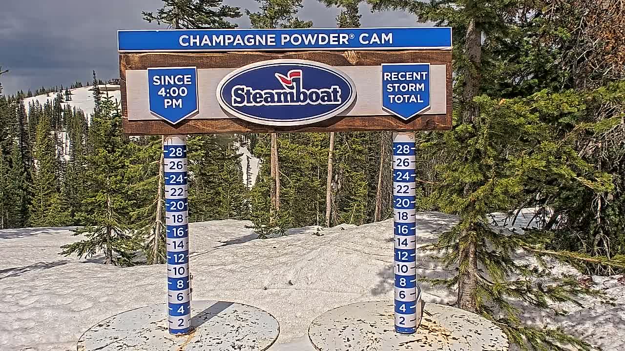 A snow depth gauge sits in a snowy, partly cloudy mountain landscape amidst evergreen trees.
