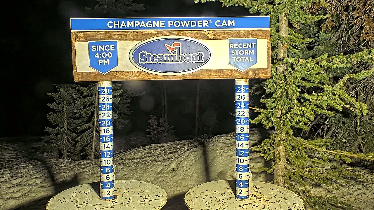 At night, under snowy conditions, a snow depth gauge shows recent snowfall accumulation next to evergreen trees.