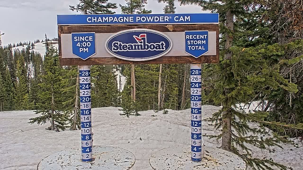 A snow-covered landscape with evergreen trees under a cloudy sky is shown, with a sign indicating recent snowfall measurements.