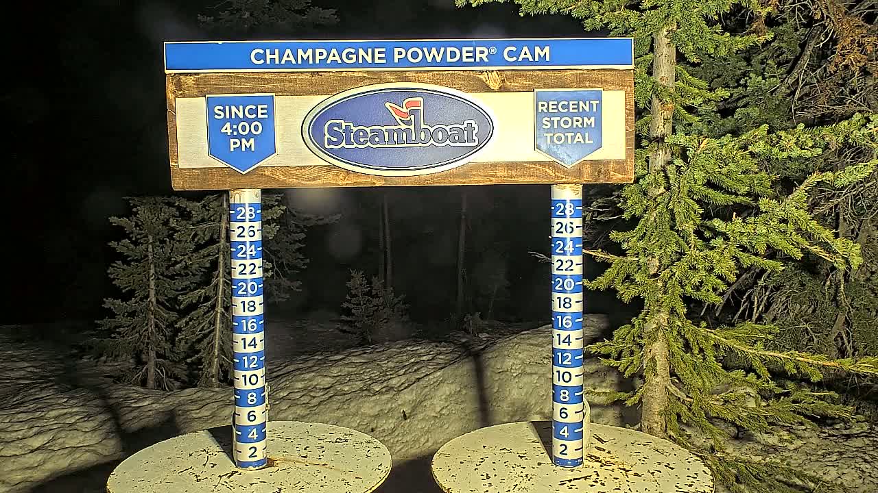 A nighttime snow scene shows a snow depth gauge next to evergreen trees under snowy, dark conditions.
