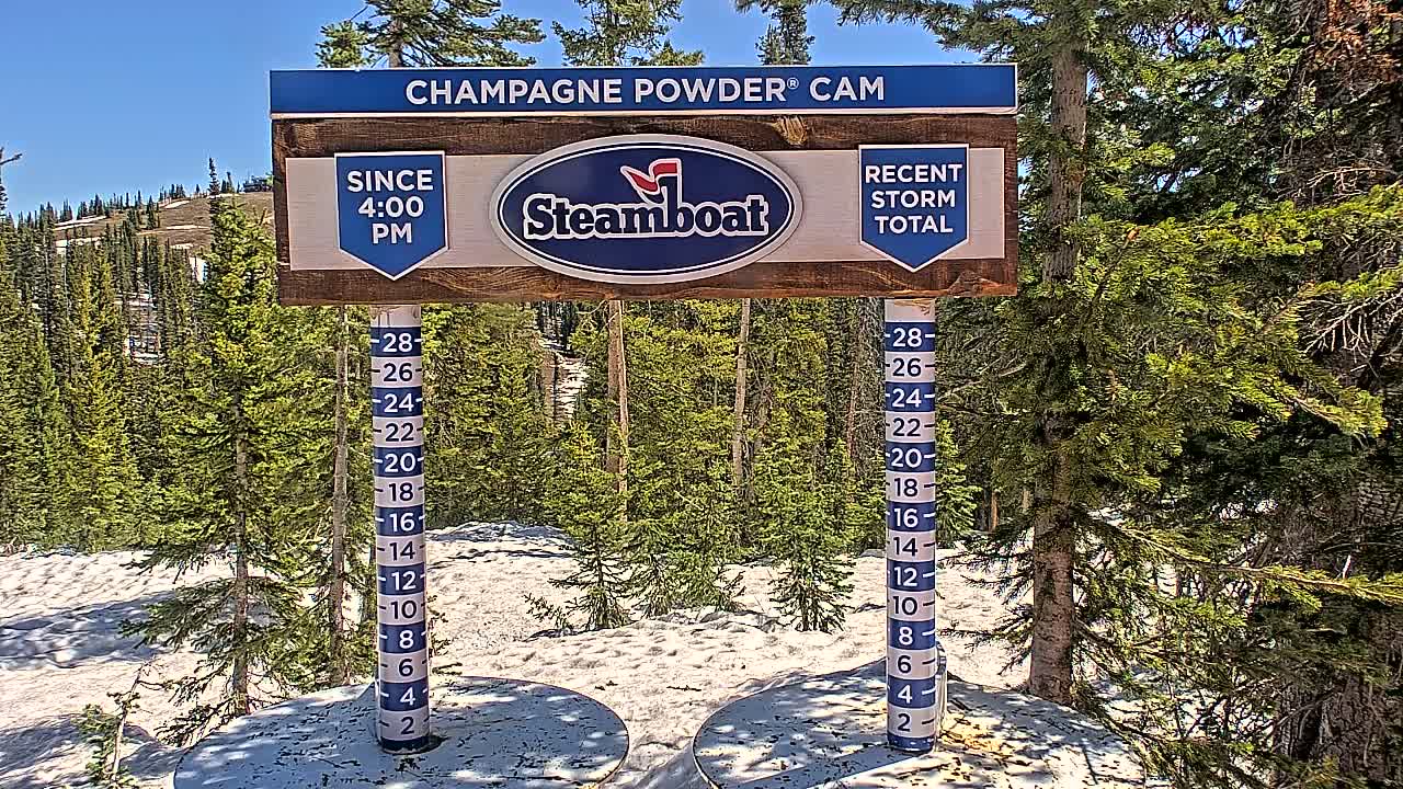 A snow depth measurement station shows a sunny day with snow on the ground and evergreen trees in the background.