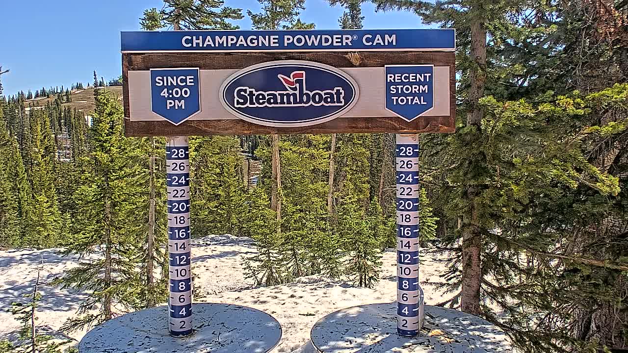 A snow depth gauge shows recent snowfall in a sunny, mountainous area with evergreen trees.