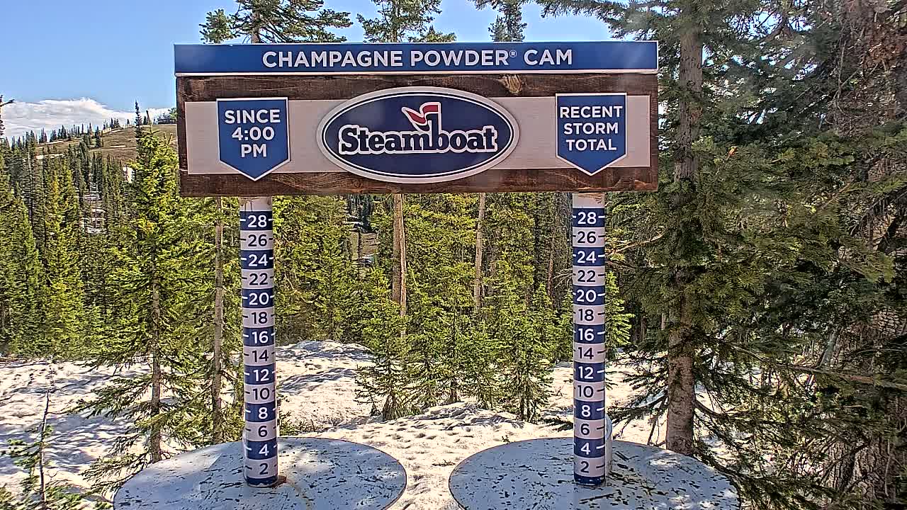 A snow depth gauge with a sign indicating recent snowfall stands in a sunny, mountainous area with evergreen trees and patchy snow cover.